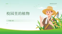 教科版2024科學(xué)一年級上冊 第6課 校園里的植物-教學(xué)課件