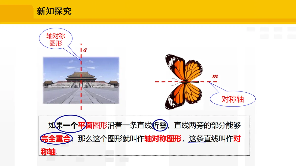 17336236第7页