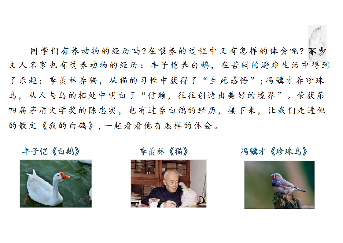 17336387第2页