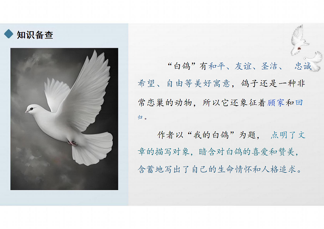 17336387第6页
