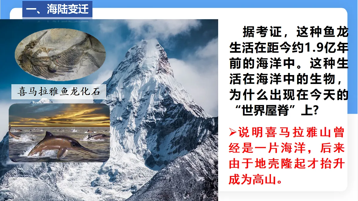 17336470第4页