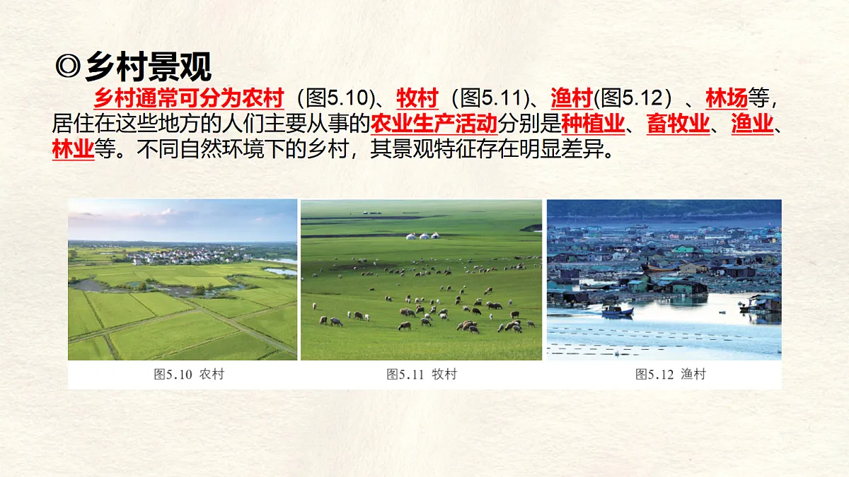 17336485第4页