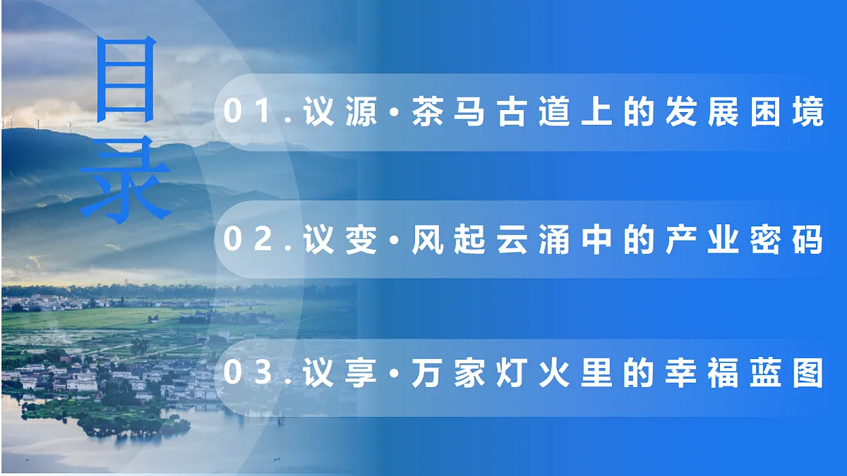 17337317第3页
