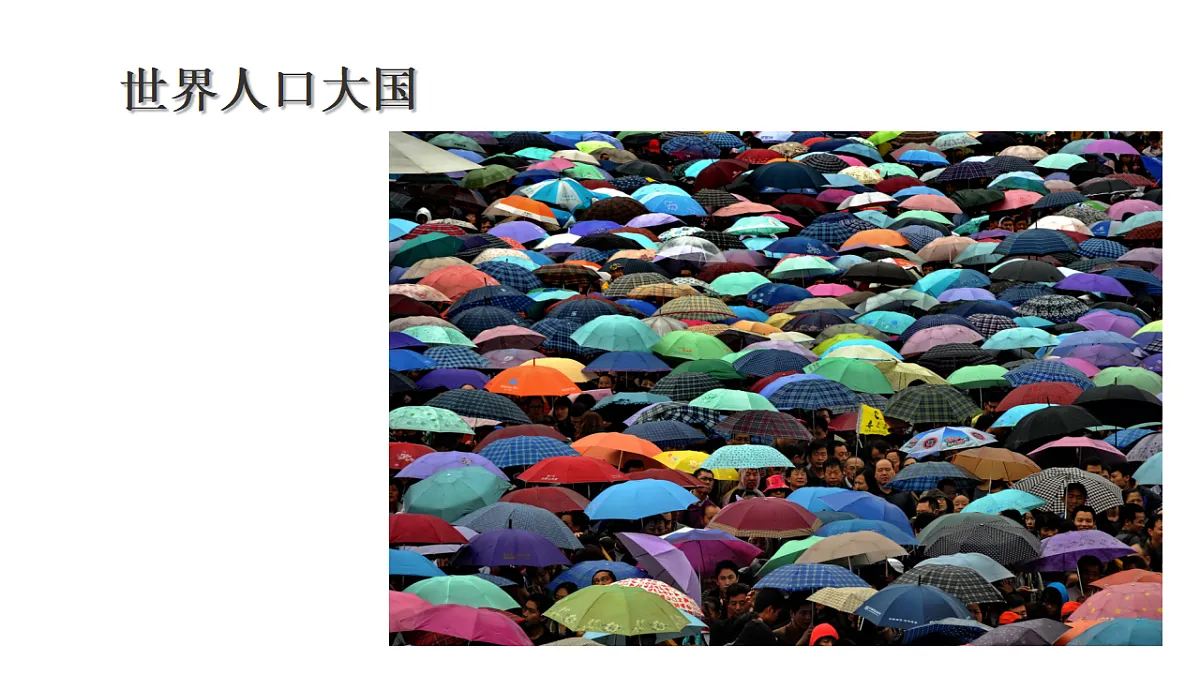 17337665第4页