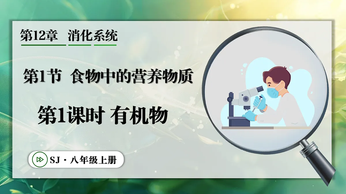 17337833第1页