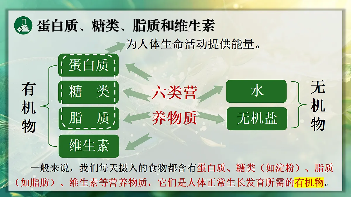 17337833第5页