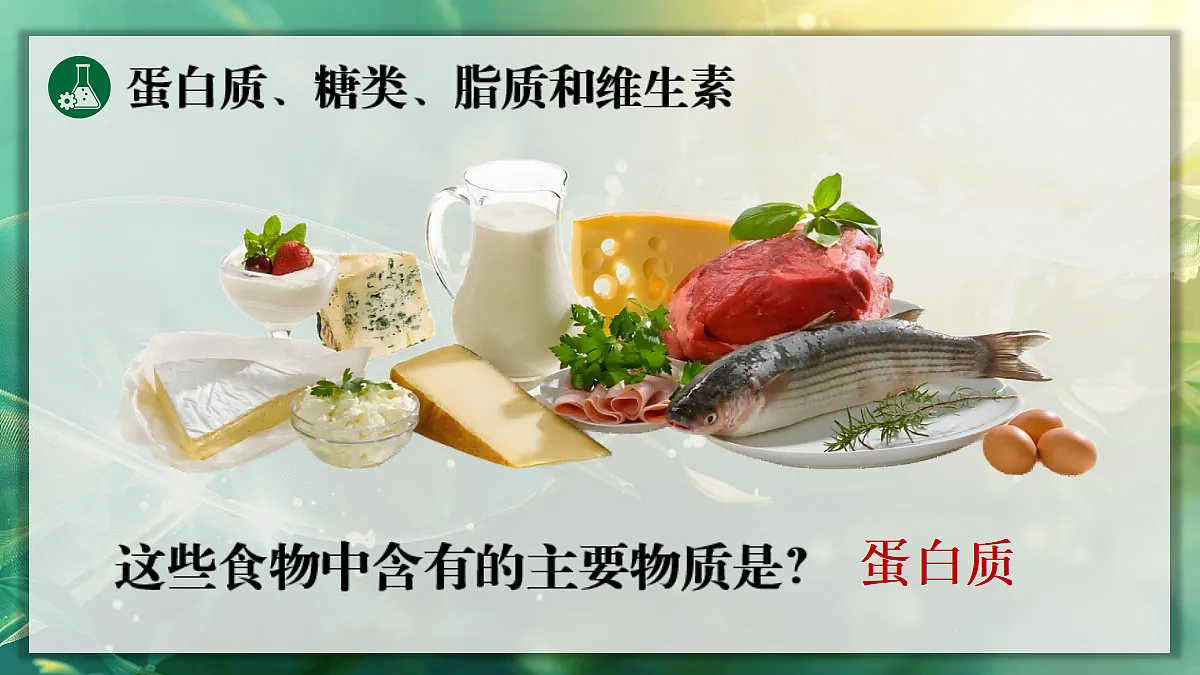 17337833第6页