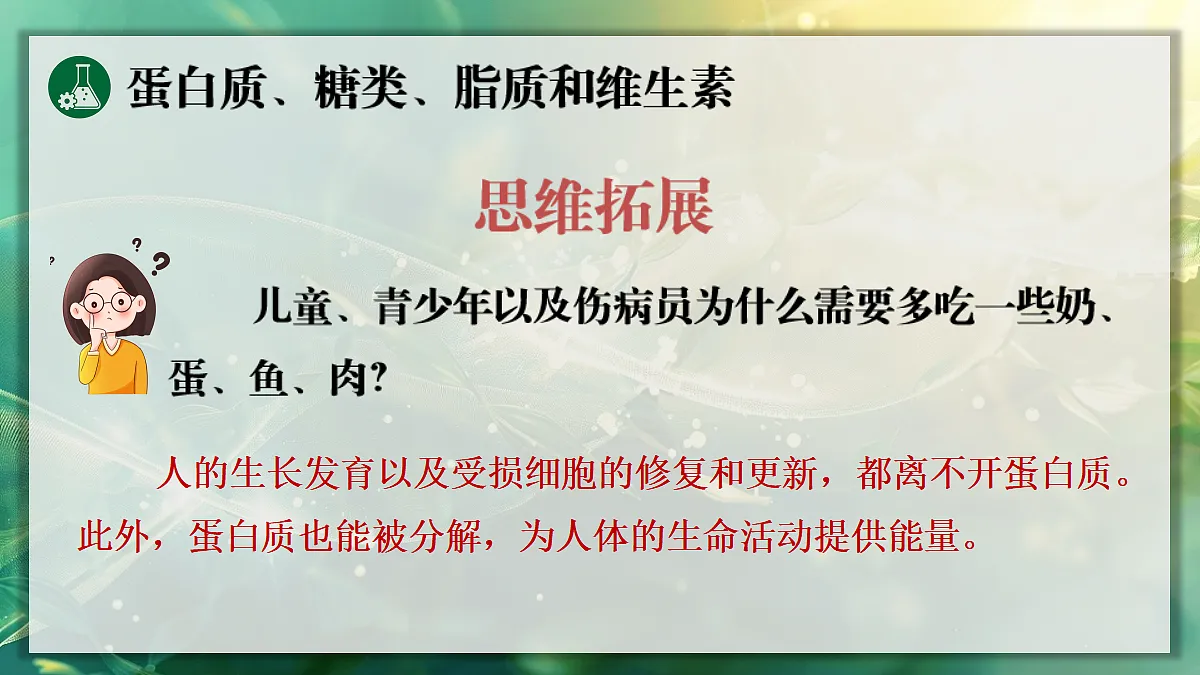 17337833第8页