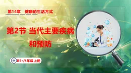 北师大版（2024）生物八年级上册 14.2 当代主要疾病和预防 （课件）
