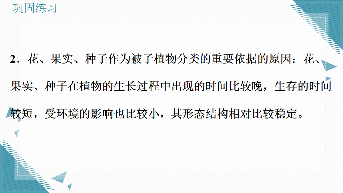 17338100第3页