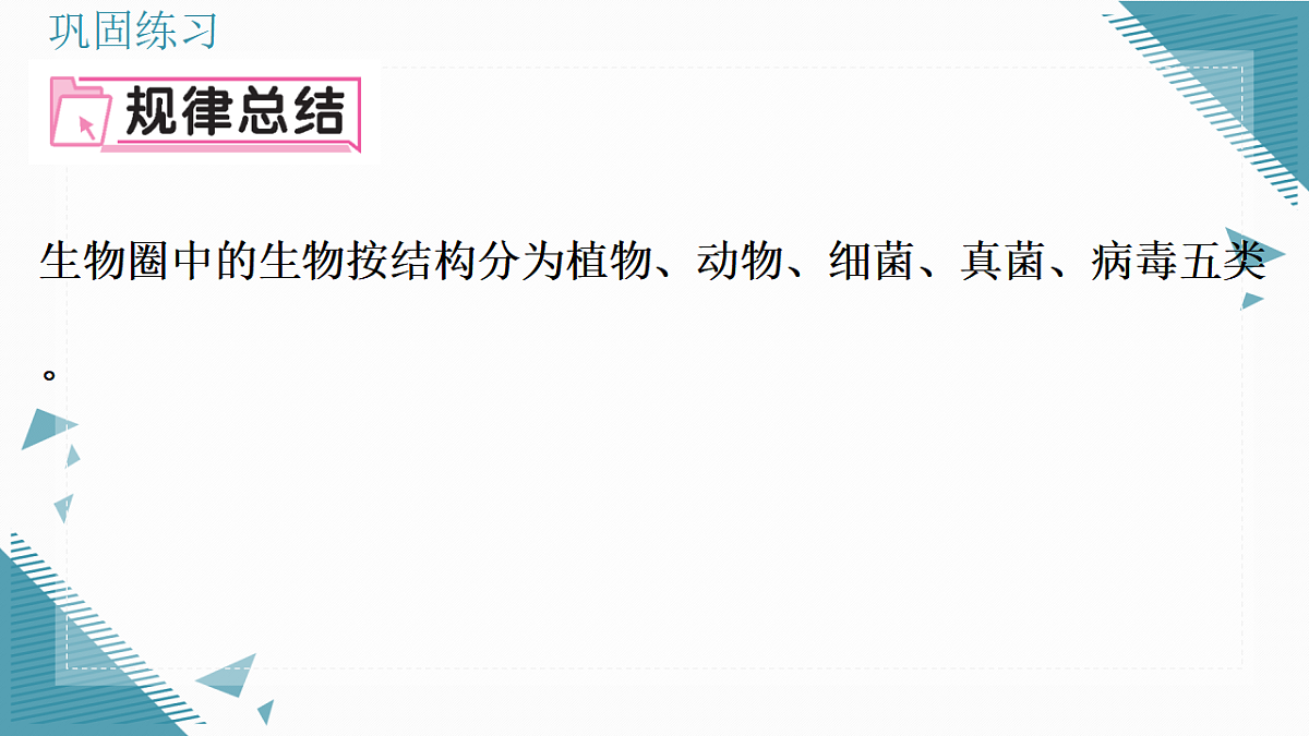 17338100第5页