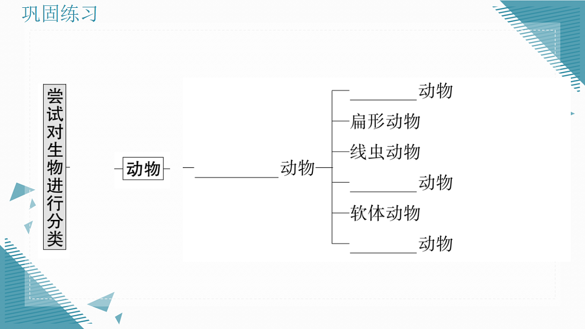 17338100第7页