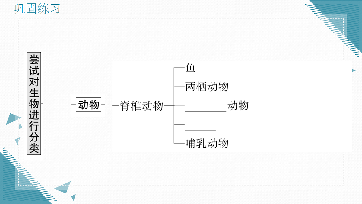 17338100第8页