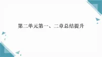初中生物人教版（2024）七年级上册（2024）动物的类群习题课件ppt