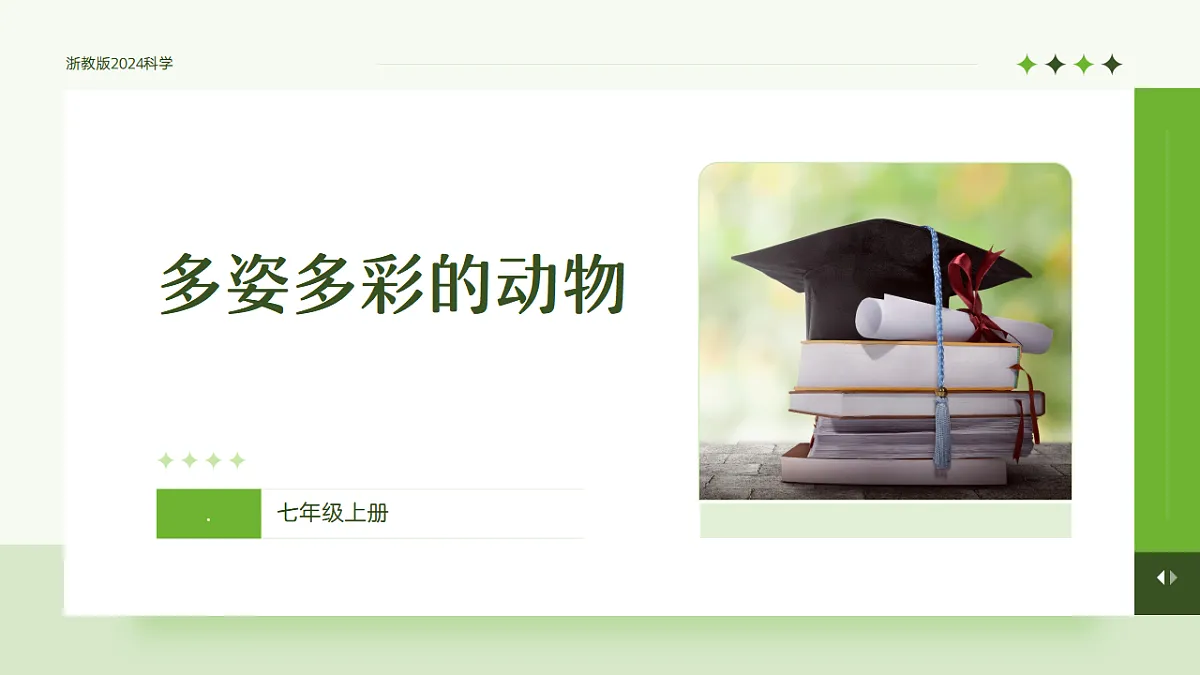 17338846第1页