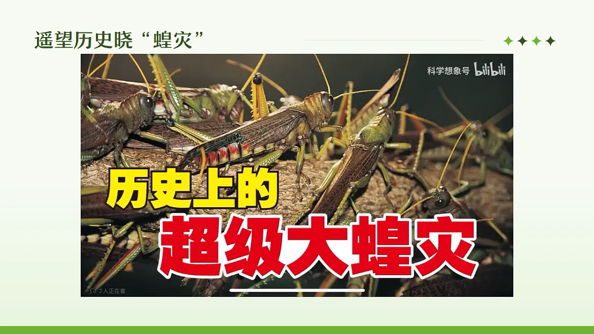17338846第2页