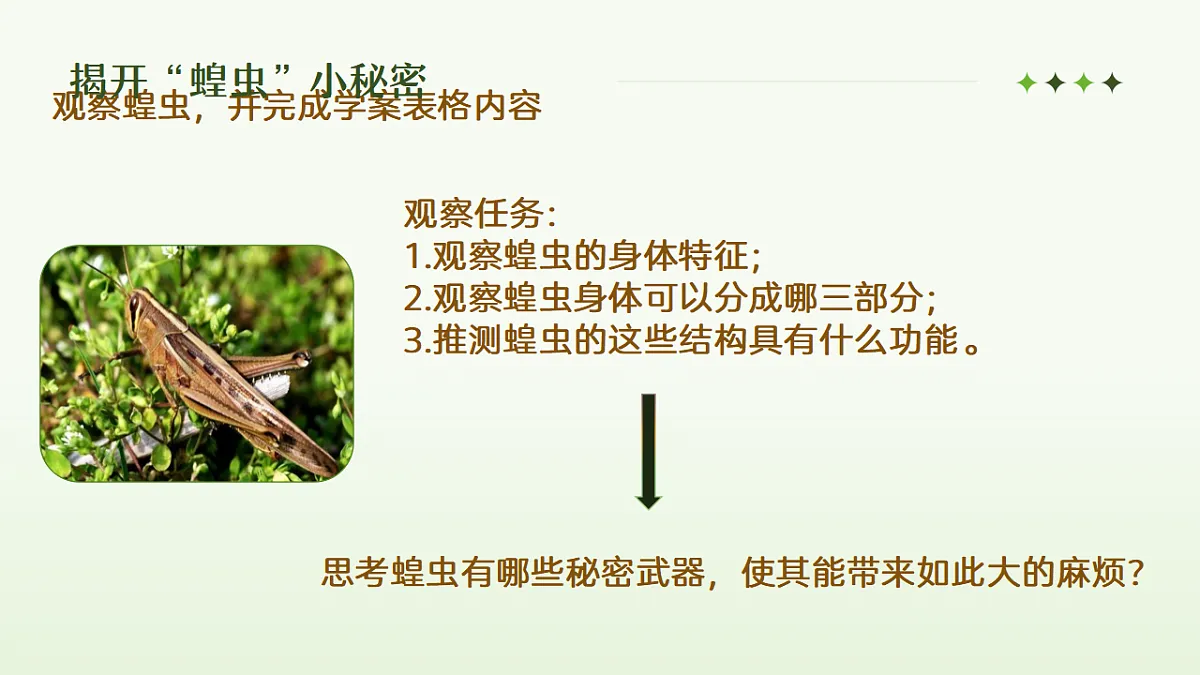 17338846第3页