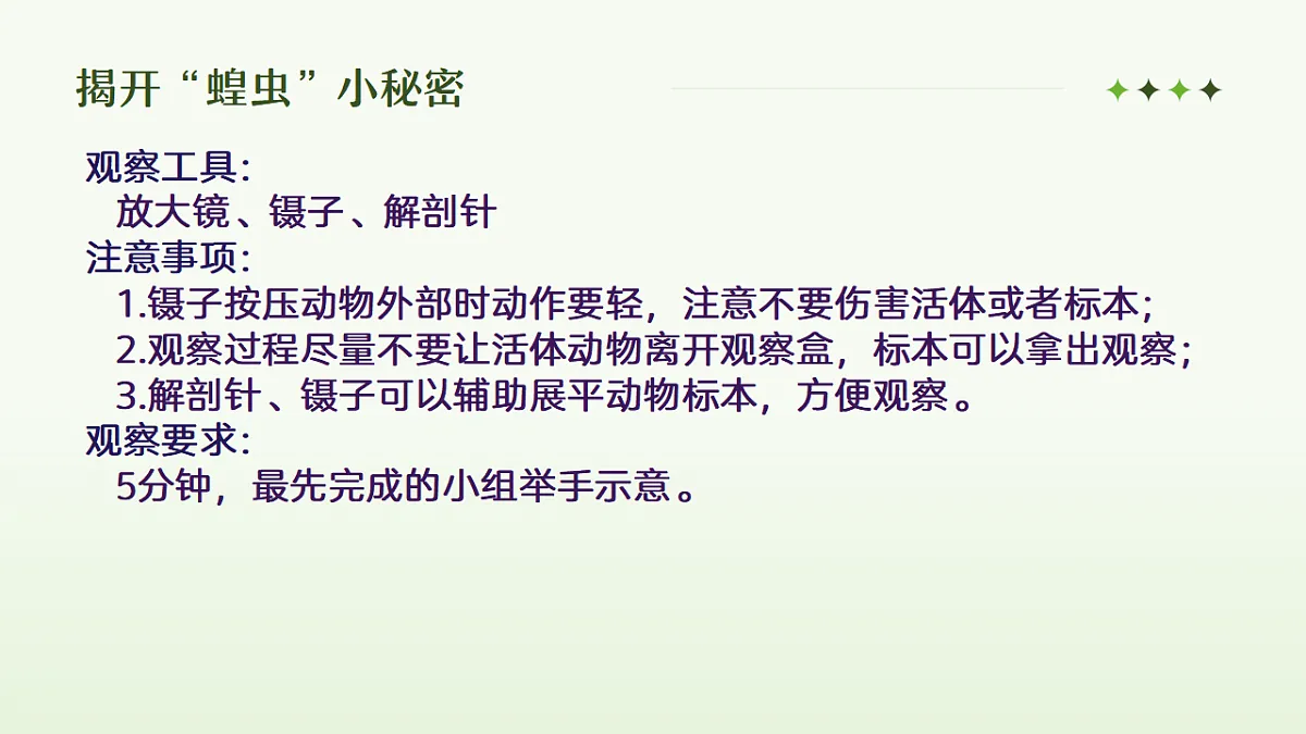 17338846第4页