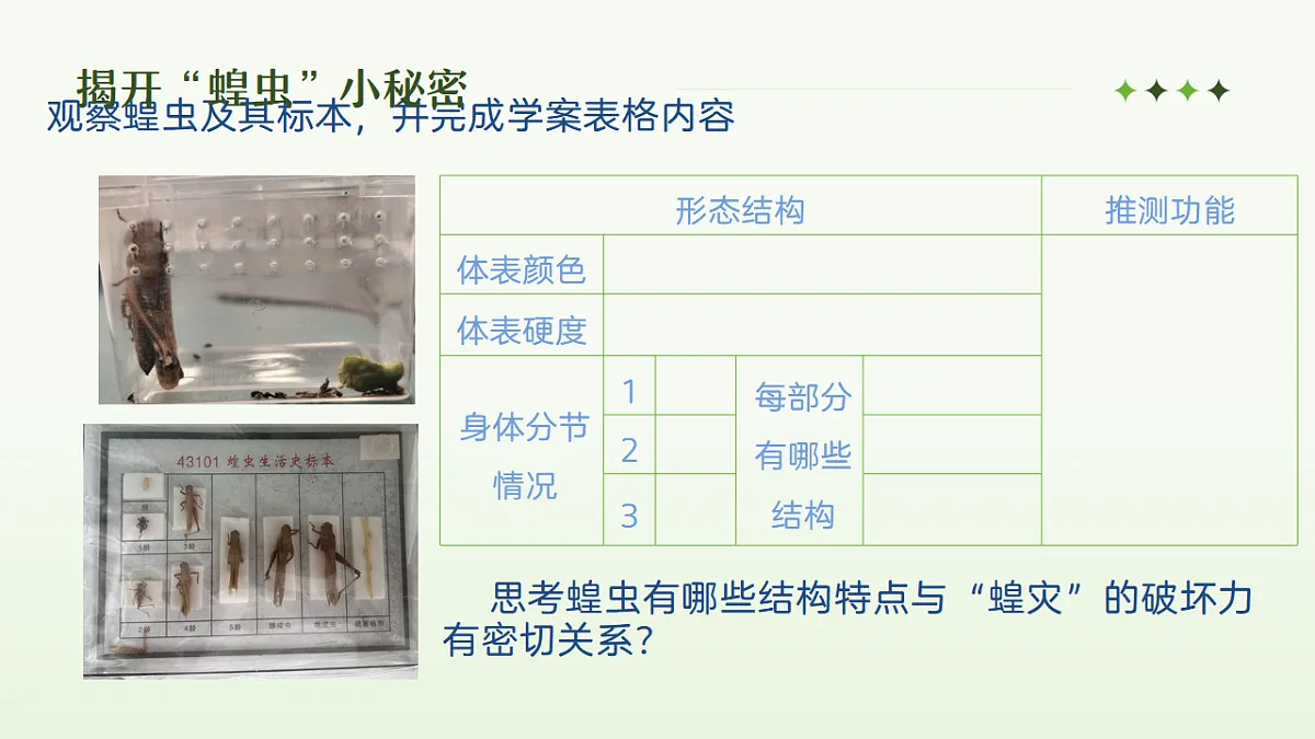 17338846第5页