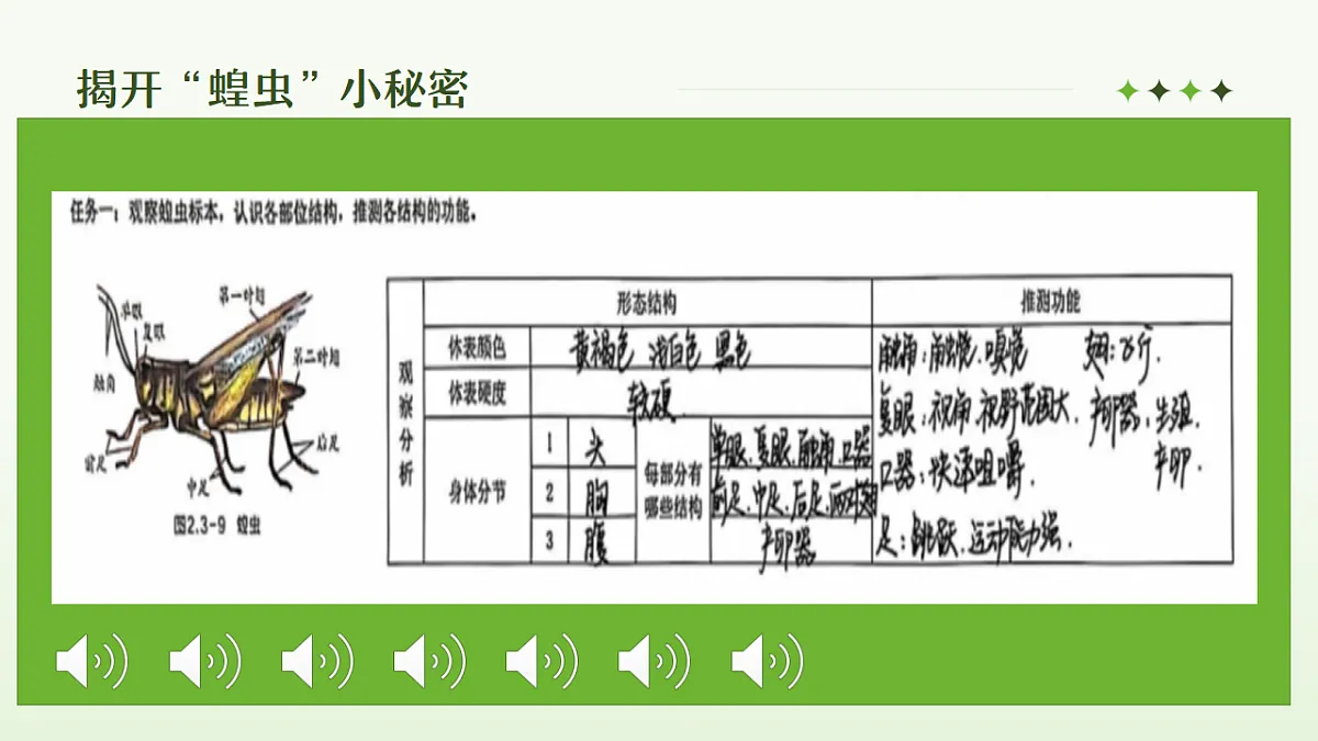 17338846第8页