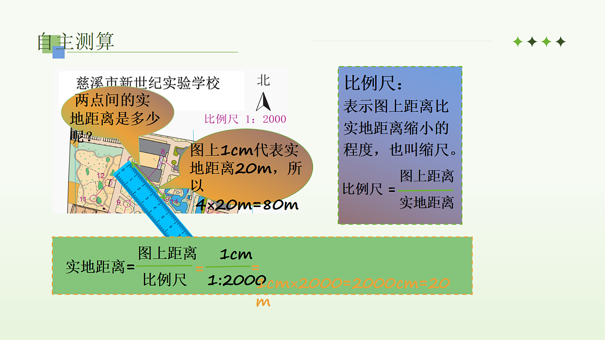 17338847第8页