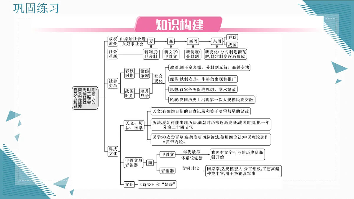 17339181第3页