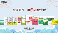初中历史人教版(2024)八年级上册(2024)第三单元 资产阶级民主革命与中华民国的建立第10课 帝制复辟与军阀割据习题ppt课件