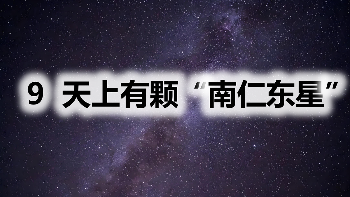 17339910第1页