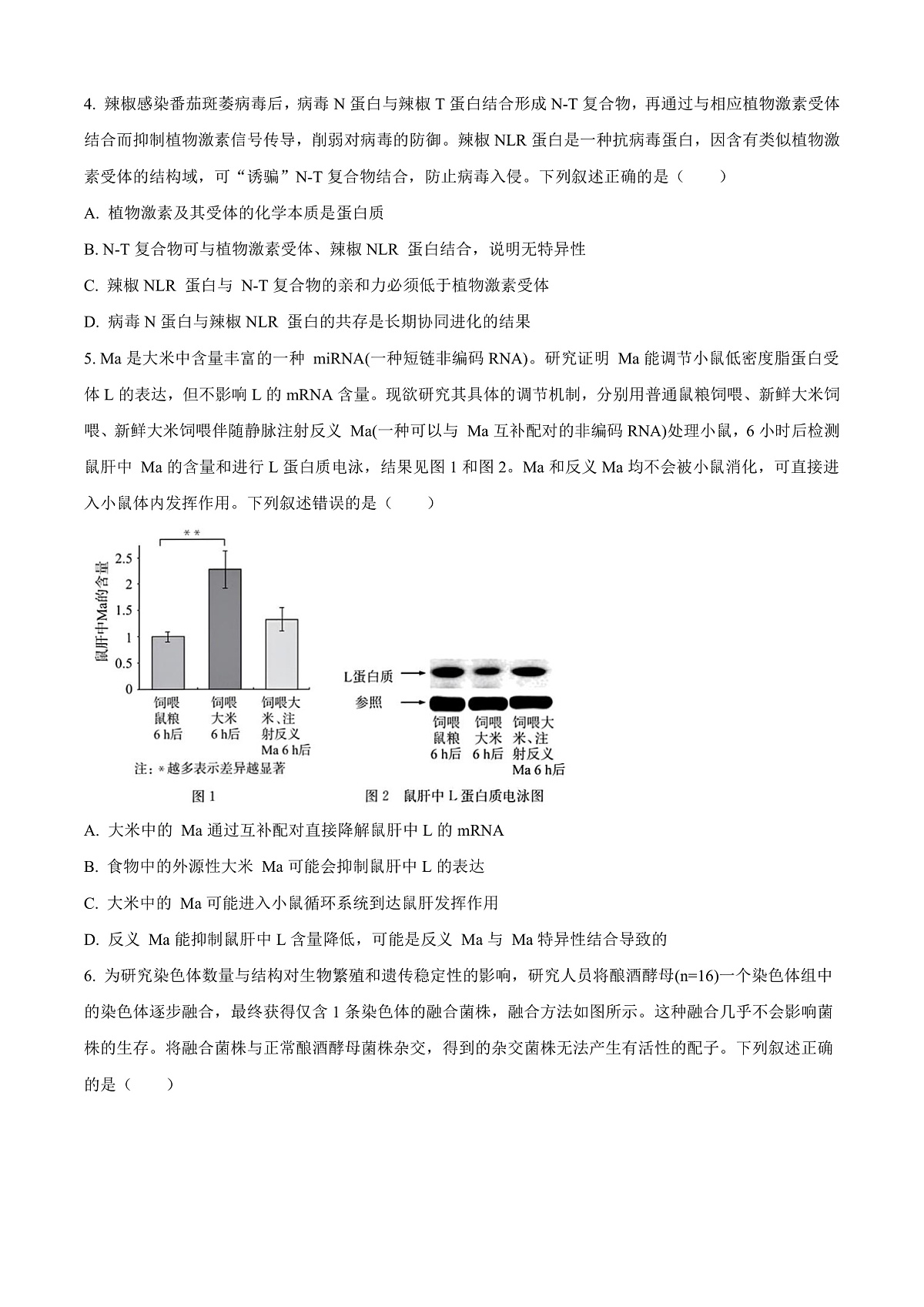 湖北省华大新高考联盟2025-2026学年高三上学期9月教学质量测评生物试卷 Word版无答案第2页