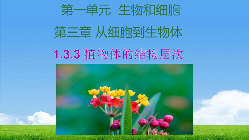 17341476第1頁