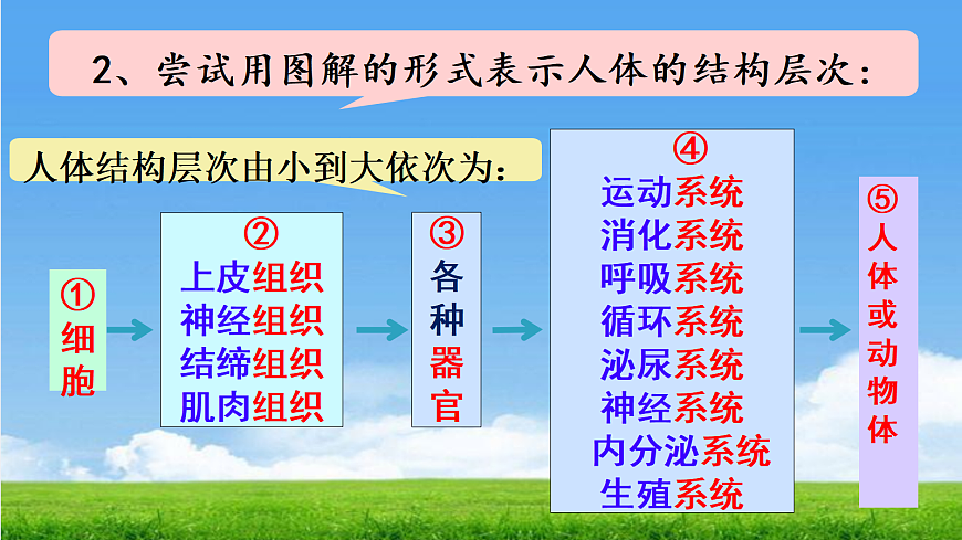 17341476第3頁
