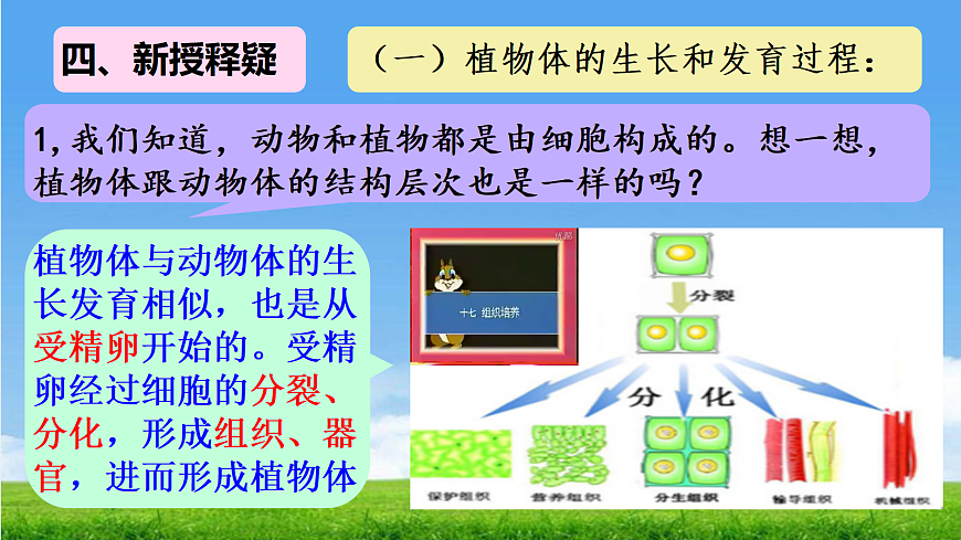 17341476第6頁
