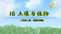 小学粤教粤科版（2024）第18课 土壤与植物图片ppt课件