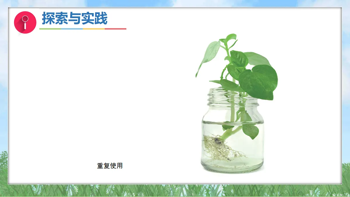 17342837第5页