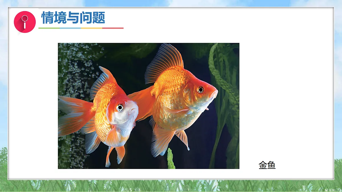 17342876第4页