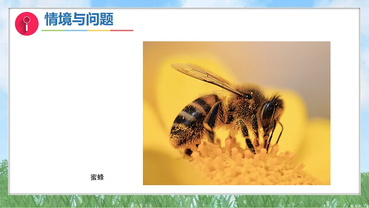 17342876第5页