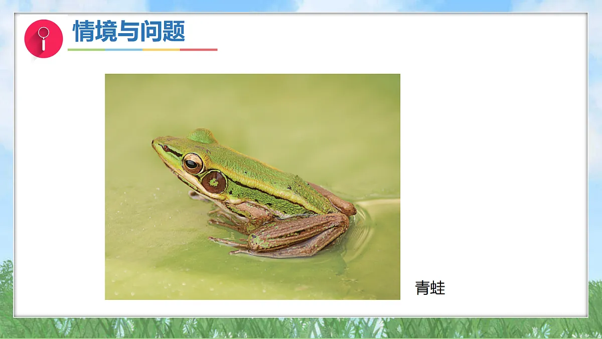 17342876第6页