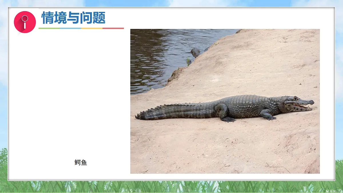 17342876第7页