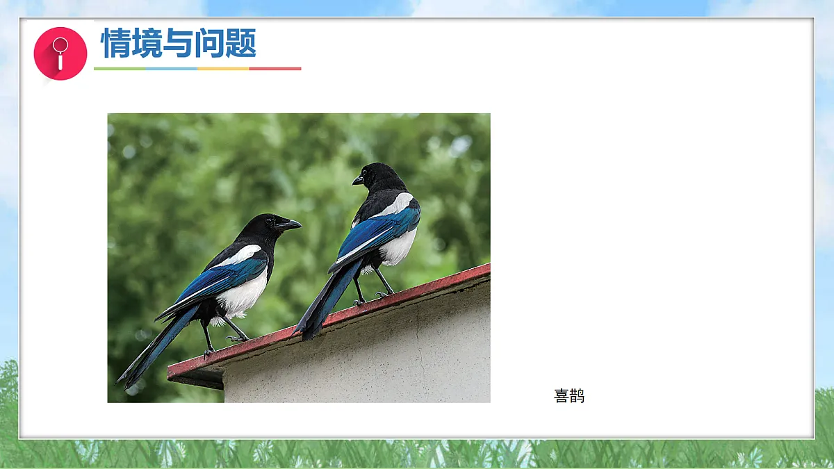 17342876第8页