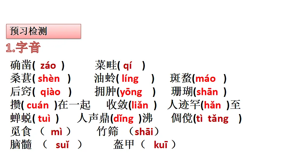 17343290第1页
