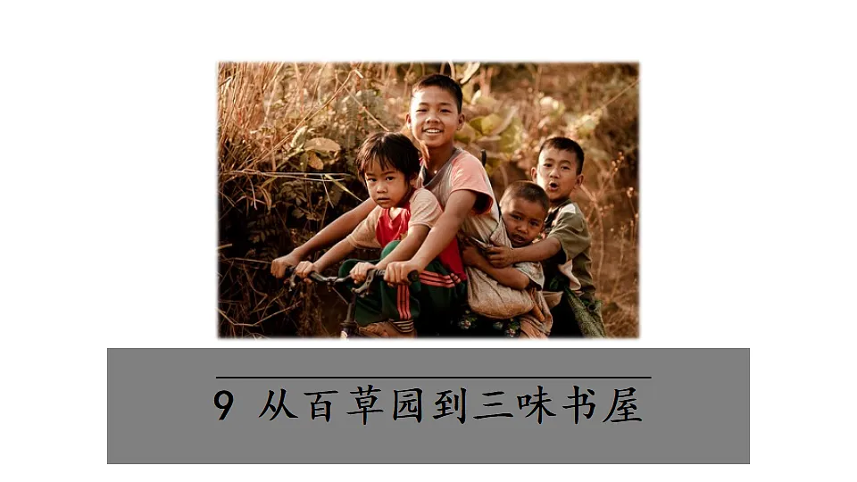 17343290第7页