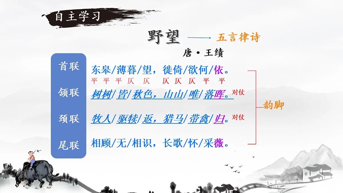 17343293第8页