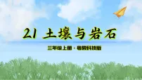 粤教粤科版（2024）三年级上册（2024）第21课 土壤与岩石教案配套ppt课件