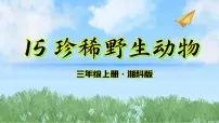 小学科学湘科版（2024）三年级上册（2024）15 珍稀野生动物背景图ppt课件