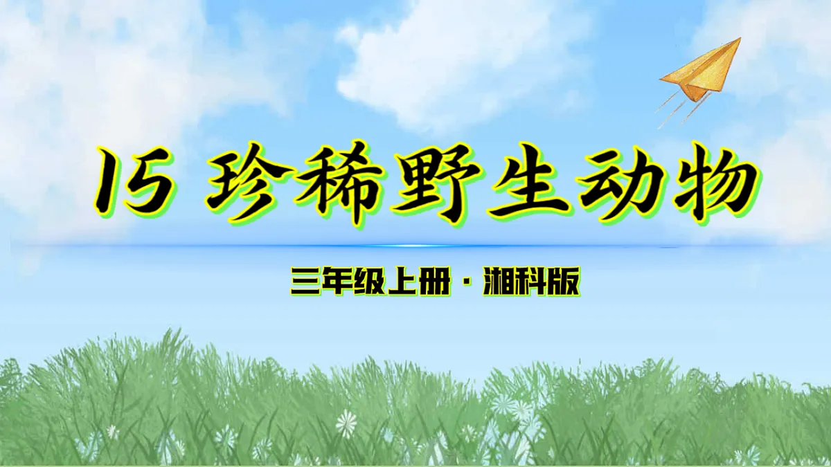 17343310第1页