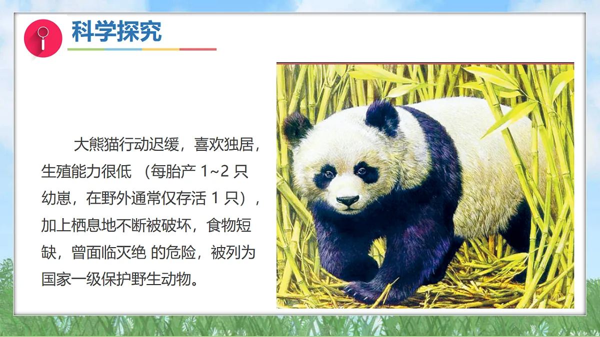 17343310第5页