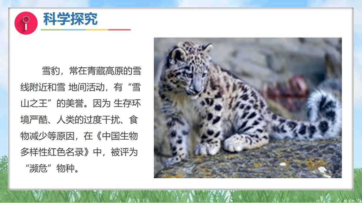 17343310第6页