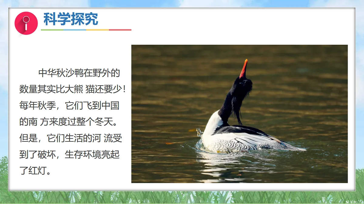 17343310第7页