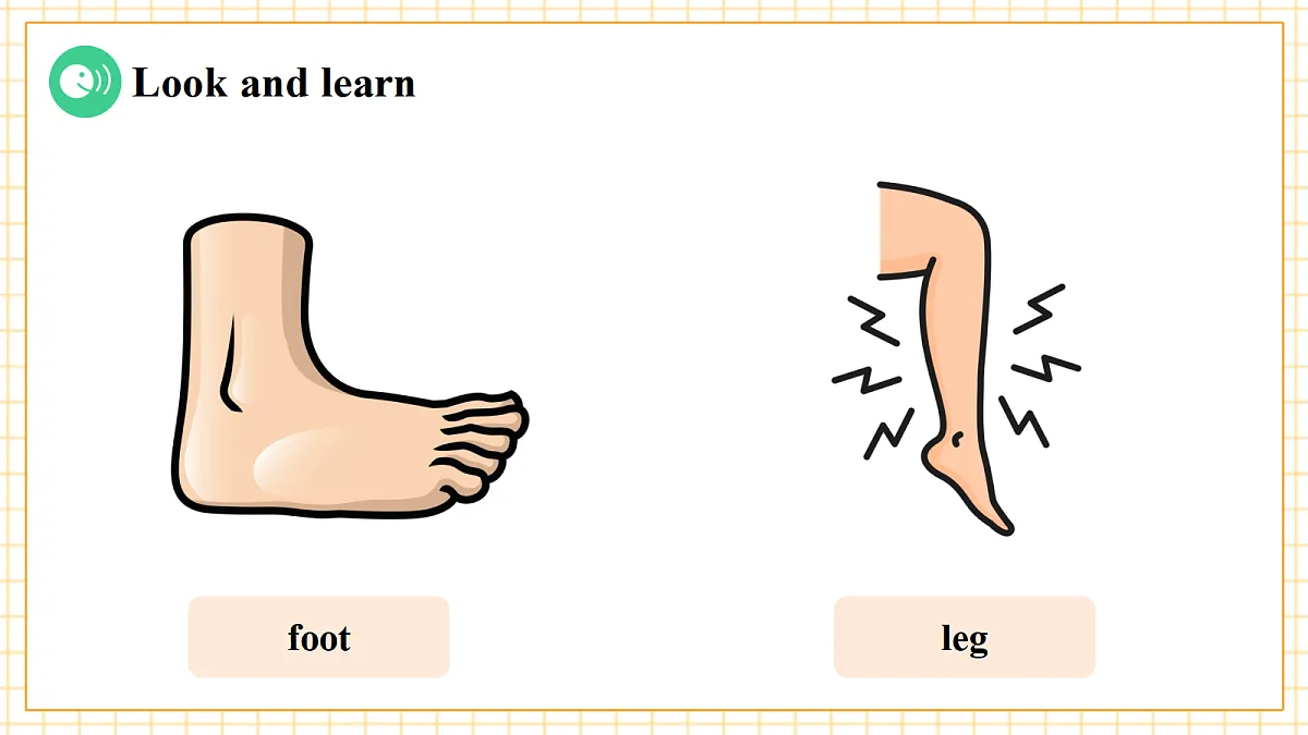 粤教沪外教版三下 Unit 1 Lesson 1课件第7页