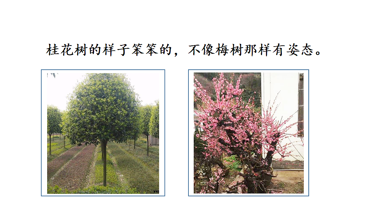 17345842第8页